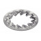 Rondelle Grower 5 section Plate