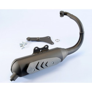 Pot d'&eacute;chappement Polini Original Peugeot Buxy Speedfight Trekker Vivacity TKR Homologu&eacute;