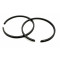 Segment