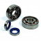 Kit Roulements Vilebrequin Polini C3 SKF MBK 51 + Joints Spi Téflon Mobylette AV10 Motobécane AV7