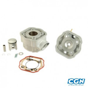 Haut Moteur Alu Nickasil Senda / Derbi Euro 3 2006➔ BI-Segment(FAB.CEE)