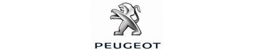 Pots d'&eacute;chappements pour Peugeot 