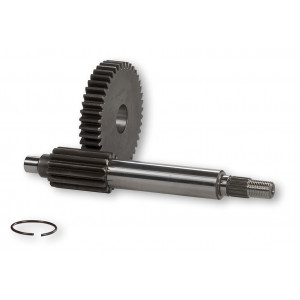 Transmission primaire Malossi HTQ Z15/38 Scooter Piaggio Zip NRG / Gilera Runner Stalker (Force &Oslash; 17)